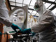 Ebola, negativo il test del paziente rientrato in Sardegna dal Congo Ebola, negativo il test del paziente rientrato in Sardegna dal Congo