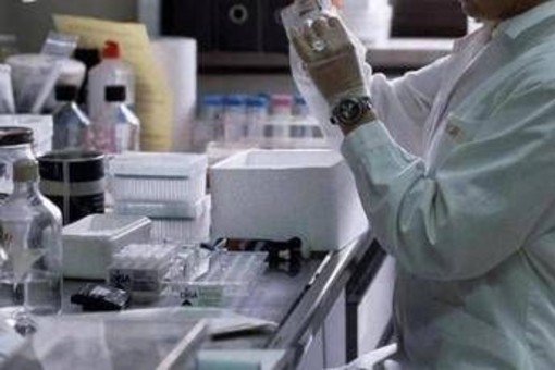 Nefropatia da IgA, monoclonale umanizzato preserva funzione renale Nefropatia da IgA, monoclonale umanizzato preserva funzione renale