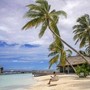 Cinque italiani morti alle Maldive durante un'immersione