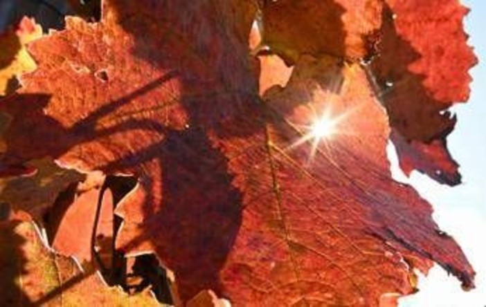 Sole e caldo ma solo per 48 ore, poi arriva il ciclone di Halloween: ecco il meteo che ci aspetta Sole e caldo ma solo per 48 ore, poi arriva il ciclone di Halloween: ecco il meteo che ci aspetta