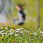 Qualche pioggia, ma continua il caldo: inverno finito in Italia Qualche pioggia, ma continua il caldo: inverno finito in Italia