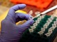 Da Aiom 39 linee guida per tumori: &quot;Riferimento per appropriatezze cure e qualità vita&quot;