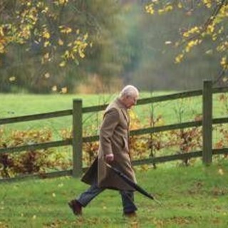 Non solo la vasca di letame, il parco di Sandringham diventa rischioso per i cani Non solo la vasca di letame, il parco di Sandringham diventa rischioso per i cani