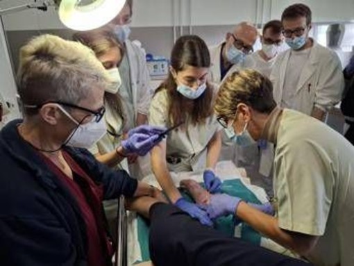 Virus naturali contro superbatteri resistenti, terapia fagica al Sacco di Milano Virus naturali contro superbatteri resistenti, terapia fagica al Sacco di Milano