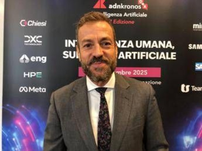 Ai, Da Rin (Infocamere): &quot;Startup che vi operano appartengono a settori software e consulenza It&quot;