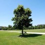 Estate piena nel weekend poi arriva l'autunno con forti temporali
