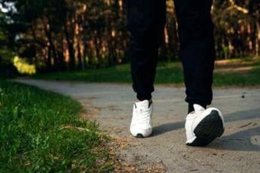 Il numero dei passi non conta: ecco cosa davvero fa la differenza per la tua salute Il numero dei passi non conta: ecco cosa davvero fa la differenza per la tua salute