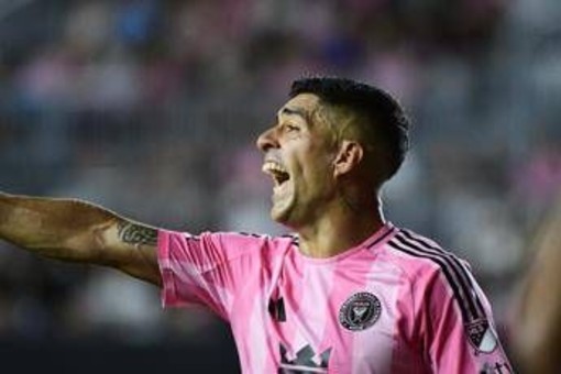 Caso Suarez, tre condanne a Perugia per l'esame "farsa" Caso Suarez, tre condanne a Perugia per l'esame "farsa"