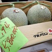 Due meloni venduti a 31mila euro, l'asta choc in Giappone per i frutti 'd'oro' Due meloni venduti a 31mila euro, l'asta choc in Giappone per i frutti 'd'oro'