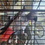 Scappato nel 2018, il pappagallo Gino torna a casa dopo 7 anni