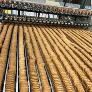 Cth Invest group, fatturato esercizio 2024-25 +9,9%