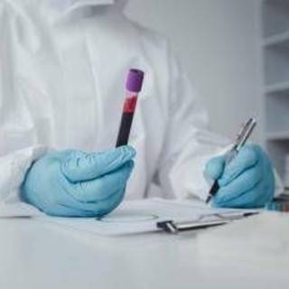 In Francia primo caso umano di virus Shamonda, il paziente è morto: alert Ecdc