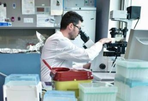 Sindrome di Hunter, Italfarmaco e Jcr Pharmaceuticals insieme per terapia sperimentale﻿