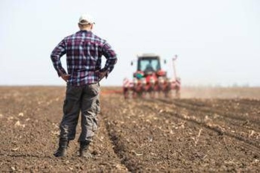 Gli offrono 700mila euro, ma un agricoltore rifiuta e non vende il suo terreno Gli offrono 700mila euro, ma un agricoltore rifiuta e non vende il suo terreno
