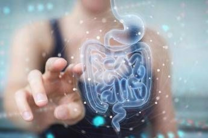 Malattie metaboliche, la svolta arriva dall'intestino: identificato batterio 'protettivo'