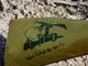 Milano, in corteo con bandiera Hezbollah: indagata per istigazione a terrorismo