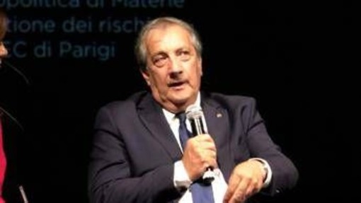 Legno, Semeraro (Rilegno): &quot;Consorzio impegnato ad ottimizzare risorse forestali&quot;