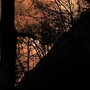 Incendi, Vigili del fuoco al lavoro dal Piemonte al Sud: "Bruciati +15% ettari rispetto a scorso anno"