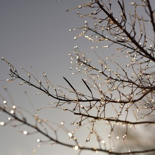 Un weekend tranquillo, ma non noioso, nel Bustese