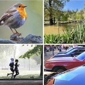 Natura, musica e tanta aria di festa: un weekend a colori nel Bustese