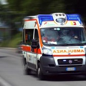 Furgone con braccianti a bordo si ribalta nel Foggiano, un morto e 7 feriti Furgone con braccianti a bordo si ribalta nel Foggiano, un morto e 7 feriti