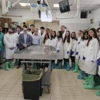 Veterinaria, inizia tirocinio matricole Tor Vergata a Istituto zooprofilattico Lazio e Toscana