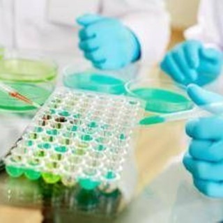 Studi no profit, nasce l'alleanza tra Fondazione Veronesi e Ficog