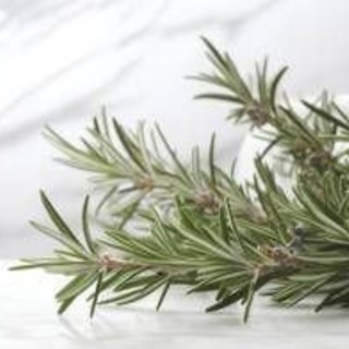 Buccia di limone, basilico e rosmarino: perché farli bollire e le proprietà 'segrete'