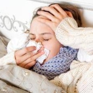 Influenza, Oms Europa: "Positivi il 17% dei test, picco contagi tra dicembre e gennaio" Influenza, Oms Europa: "Positivi il 17% dei test, picco contagi tra dicembre e gennaio"