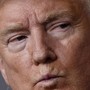 Trump più ricco con le criptovalute, ma molti suoi fan sono in rosso: l'analisi del Wall Street Journal Trump più ricco con le criptovalute, ma molti suoi fan sono in rosso: l'analisi del Wall Street Journal