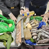 Milano, a Linate sequestrate 6,5 tonnellate di alimenti non sicuri
