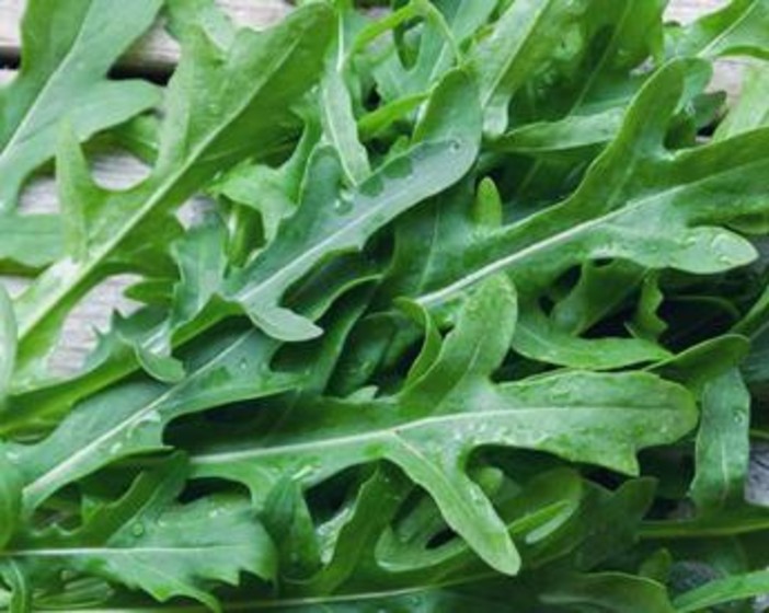 Dalla rucola un aiuto contro obesità e glicemia alta, lo studio