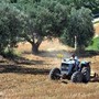 Agricoltura: aperta misura 'Generazione Terra' di Ismea, 120 milioni a giovani per acquisto terreni