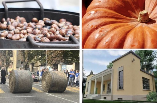 Castagne, zucche e fieno. Un weekend che non profuma solo d'autunno