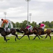 All'Ippodromo Snai San Siro un 2 Giugno di grande sport e intrattenimento All'Ippodromo Snai San Siro un 2 Giugno di grande sport e intrattenimento