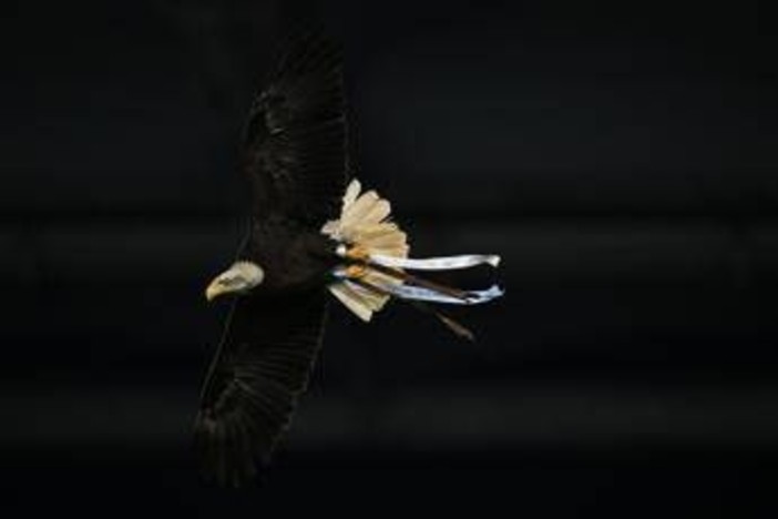 Lazio, Flaminia vola ma... sbaglia strada: atterraggio in Monte Mario