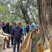 Cina-Italia: Strada per Shu e Via Appia, dialogo attraverso montagne e mari Cina-Italia: Strada per Shu e Via Appia, dialogo attraverso montagne e mari