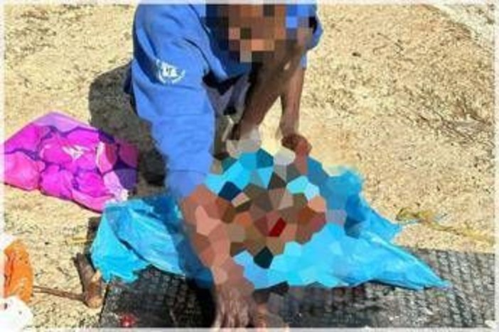 Orrore a Sezze, uccide e seziona un cane: guardie zoofile filmano tutto Orrore a Sezze, uccide e seziona un cane: guardie zoofile filmano tutto