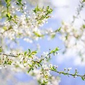 Sole e caldo con picchi estivi, ma non dura: il meteo dei prossimi giorni