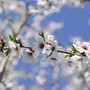 Dai temporali al bel tempo, arriva la prima fiammata estiva con i primi 30-32°C nel weekend Dai temporali al bel tempo, arriva la prima fiammata estiva con i primi 30-32°C nel weekend