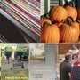 EVENTI DEL WEEKEND. Un Bustese carico di cultura e bancarelle