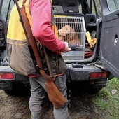 Caccia, associazioni venatorie: "Su ddl pregiudizi ideologici"