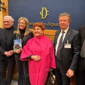 Gadda: «La distruzione degli ulivi in Puglia deve servire da monito per proteggere le colture italiane»