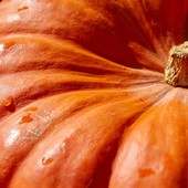 Bel tempo autunnale con giornate miti almeno fino a lunedì