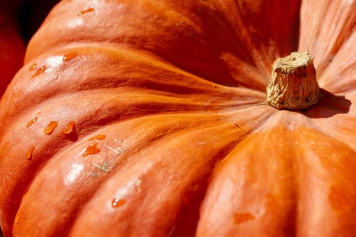 Bel tempo autunnale con giornate miti almeno fino a lunedì